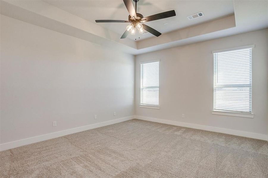 Spare room featuring a tray ceiling, light carpet, and plenty of natural light