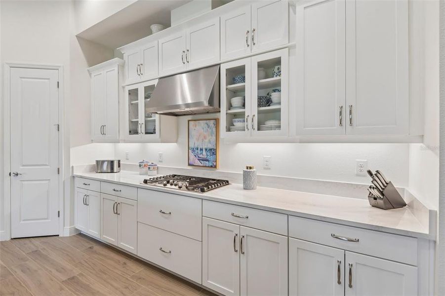 Furnished interior view inside a new home in Hawkstone, Lithia (Image 30).