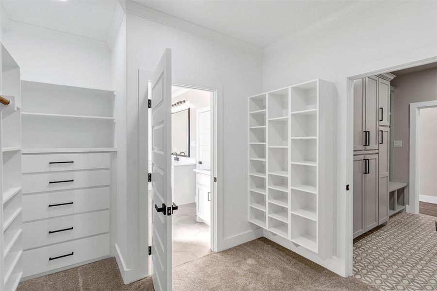 Walk in closet featuring light carpet