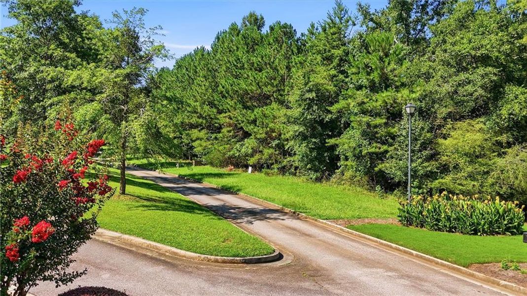 Natural landscape and outdoor views near  in Conyers (Image 24).