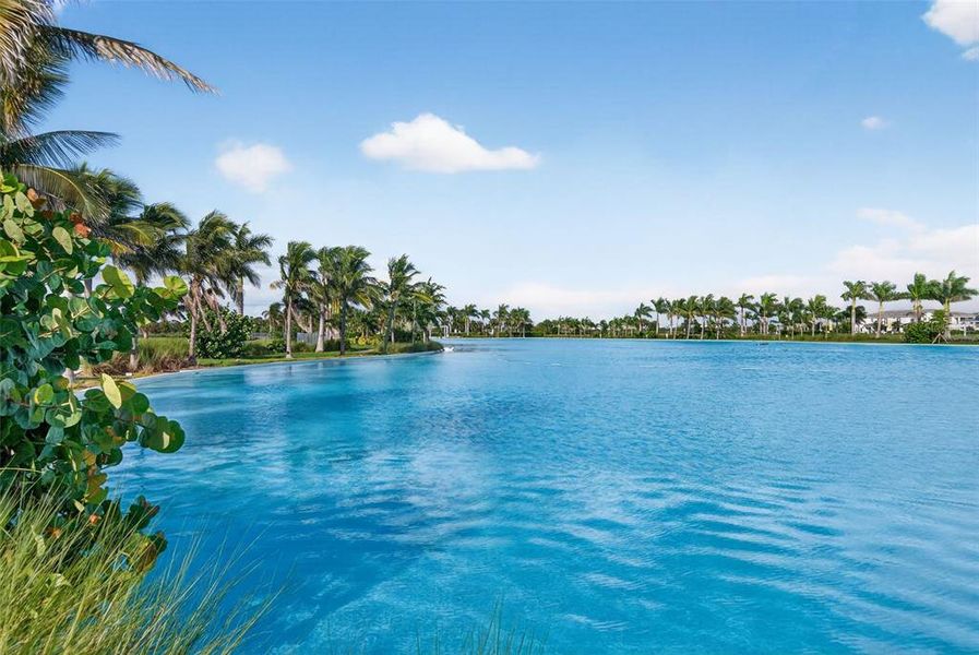 Natural landscape and outdoor views near  in Bradenton (Image 45).