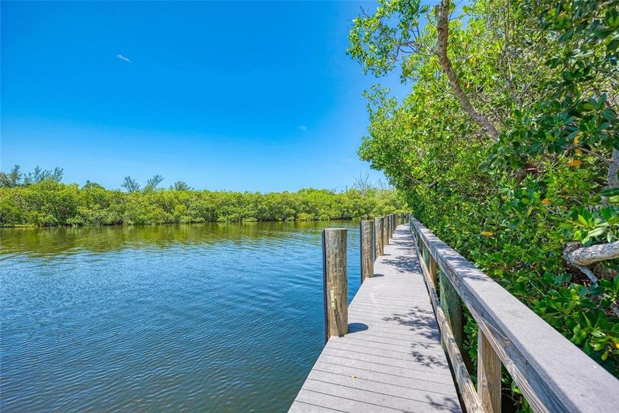 Natural landscape and outdoor views near  in North Port (Image 51).
