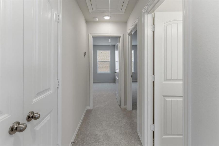 Light gray carpeted hallway with recessed lighting, white trim, and doors with brushed nickel hardware