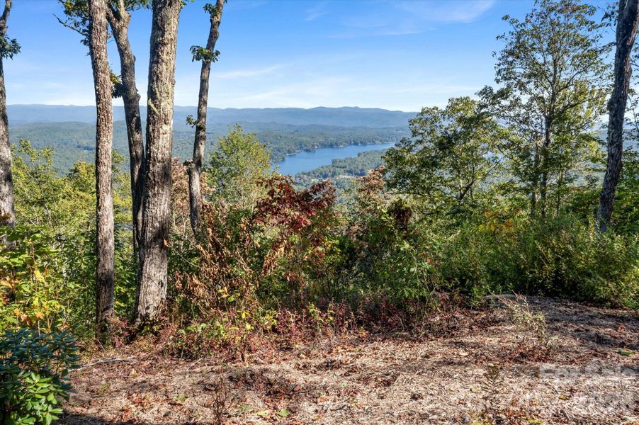 Natural landscape and outdoor views near  in Lake Toxaway (Image 36).