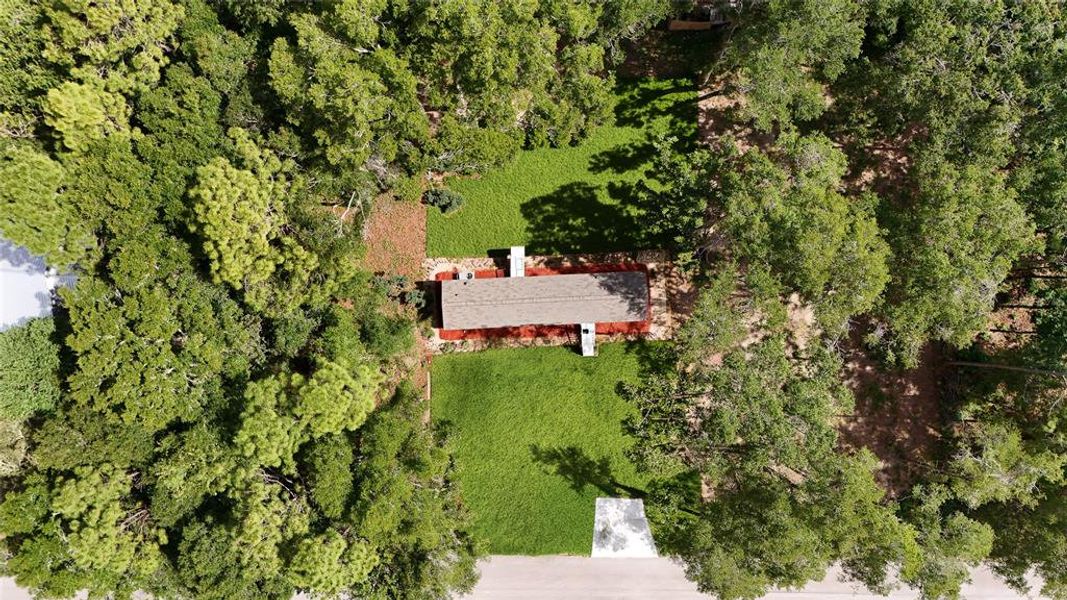 Natural landscape and outdoor views near  in Ocala (Image 21).