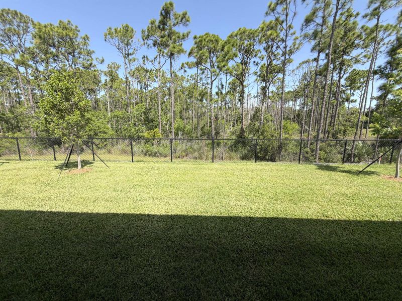 Lot 7 backyard Lot 7 backyard
