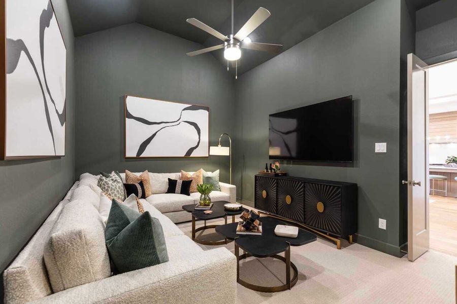 Entertainment Room