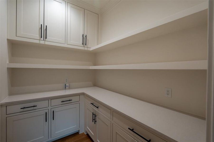 Walk-in pantry.