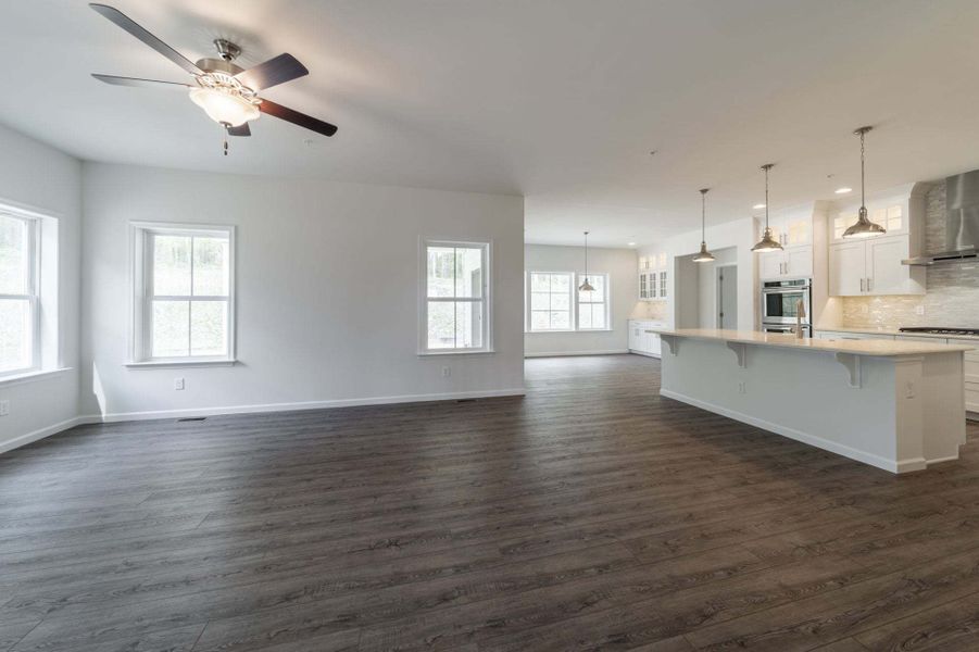 Family Room & Chef's Kitchen