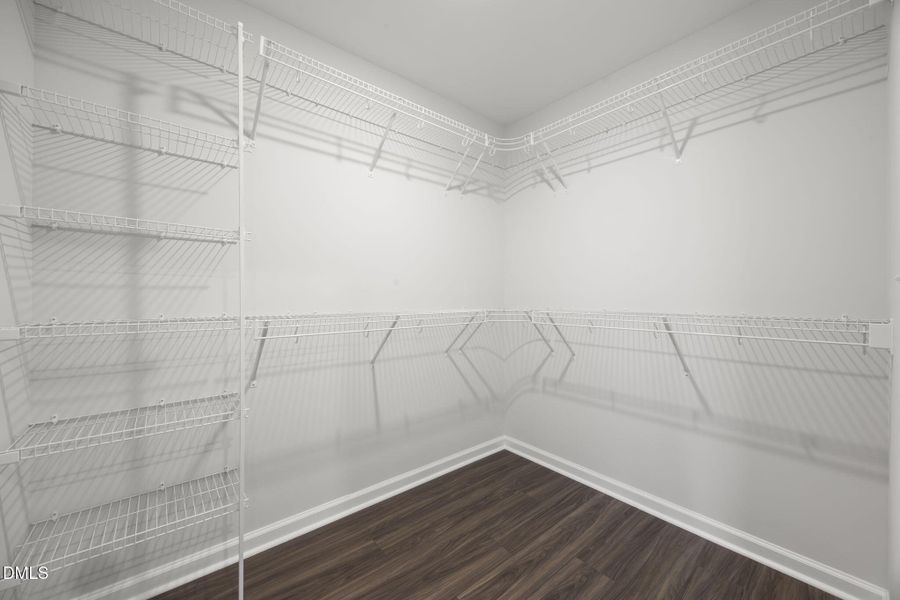 51-web-or-mls-484A9269