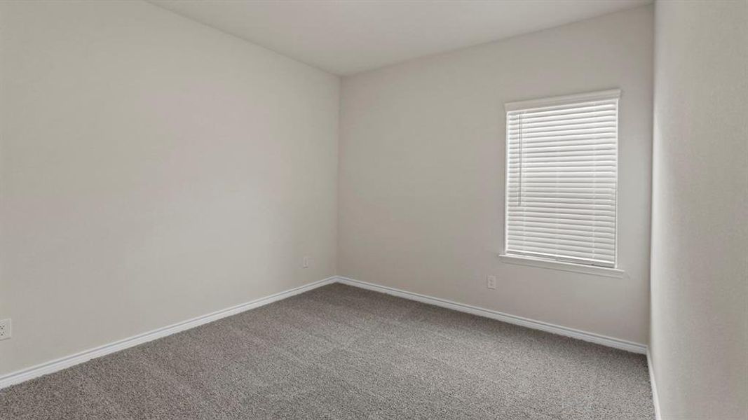 Carpeted empty room with baseboards Carpeted empty room with baseboards