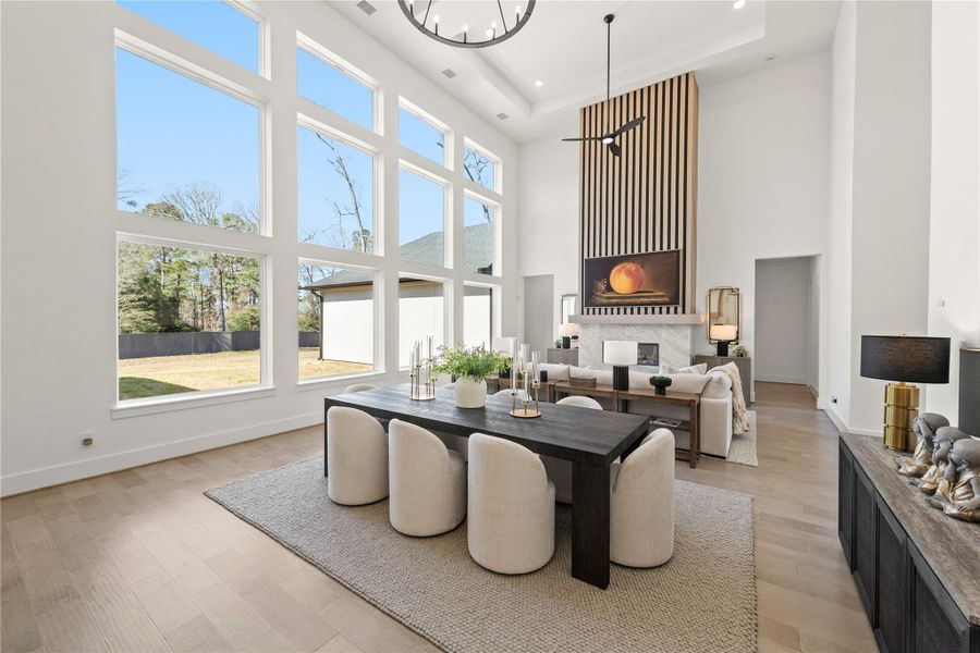 Living room and dining combo.