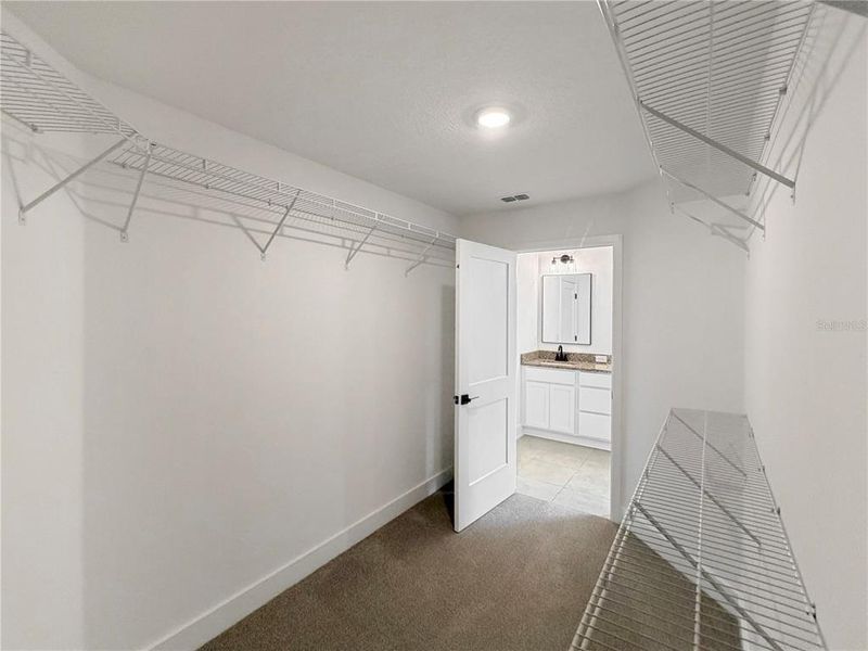Spacious, unfurnished interior of a new home in Harmony Central, Harmony (Image 14).