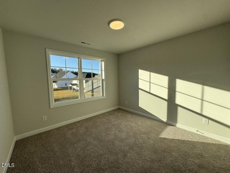 Photo Nov 16 2025, 3 42 08 PM (Medium)