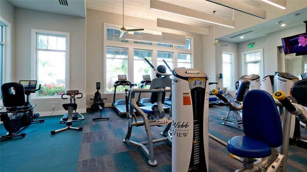 Community amenities in , Parrish (Image 48). Community amenities in , Parrish (Image 48).