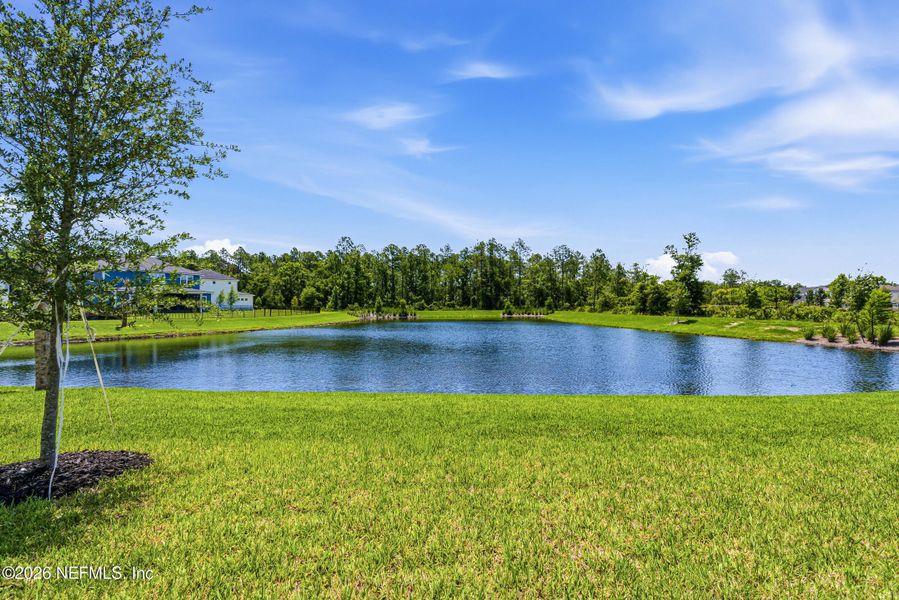 Natural landscape and outdoor views near RiverTown in St. Johns (Image 58).