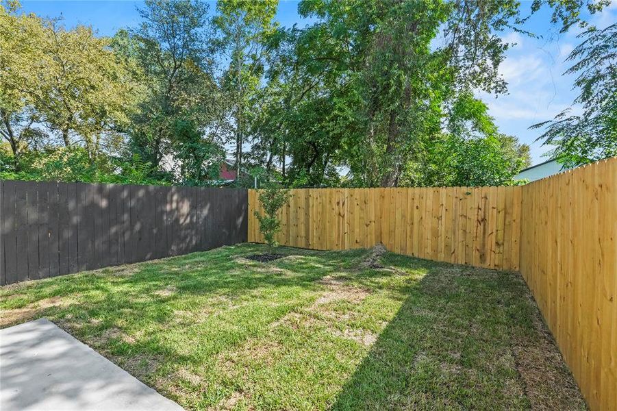 View of fenced backyard
