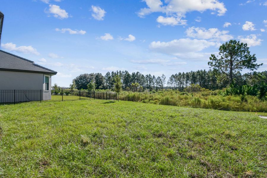 Outdoor and nature views near homes built from the 50 ' - Saratoga by William Ryan Homes in Tamarack at Two Rivers, Zephyrhills (Image 62).