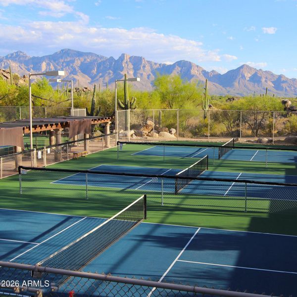 Stone Canyon Pickleball