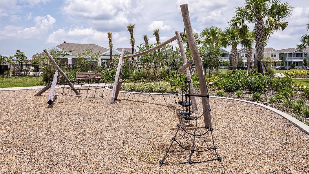 Community amenities in Harvest at Ovation, Winter Garden (Image 51). Community amenities in Harvest at Ovation, Winter Garden (Image 51).