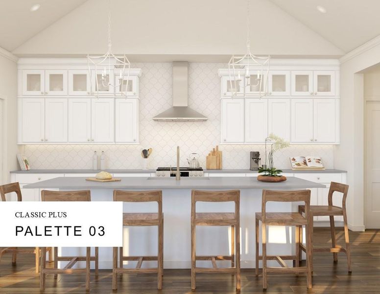 Classic Look Palette 3 Selection Sheet (*Artist rendering used for illustration purposes only.)