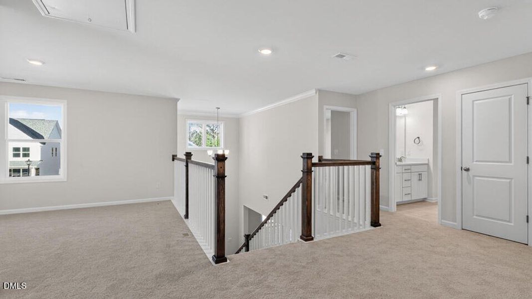 horton-park-lot-54-024