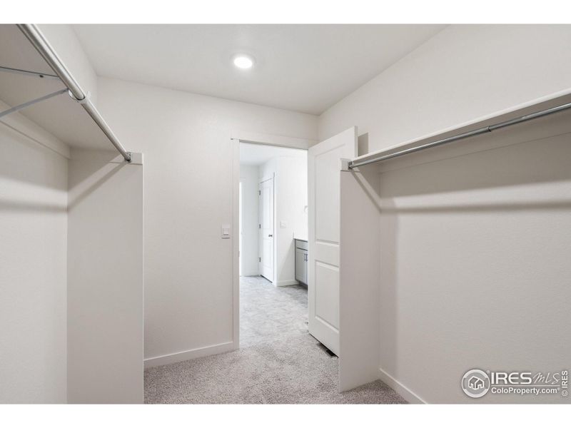 Spacious, unfurnished interior of a new home in Brighton Crossing, Brighton (Image 12).