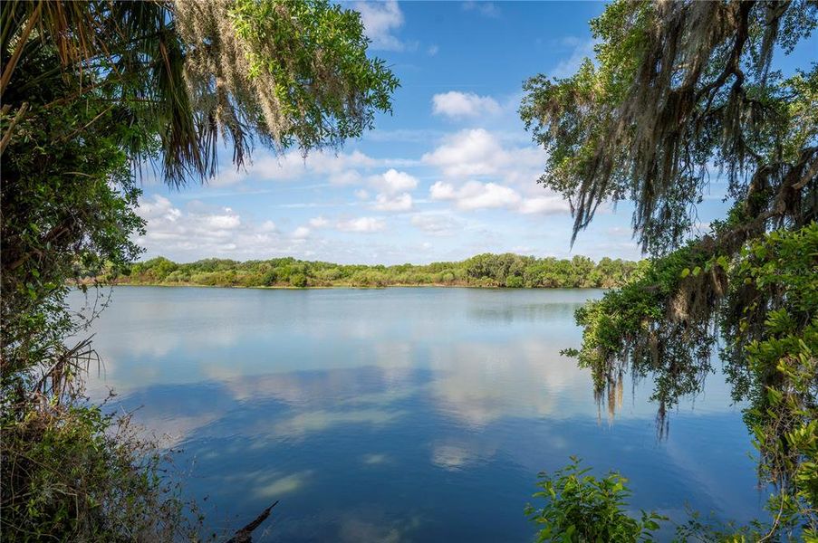 Natural landscape and outdoor views near  in Mulberry (Image 47).