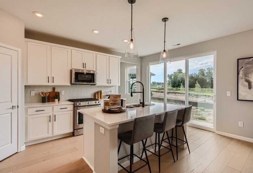 13788 DAFFODIL WAY, Parker, CO.  - Slide 8