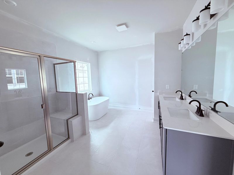 Primary Bathroom featuring AW Collection® Minimalist