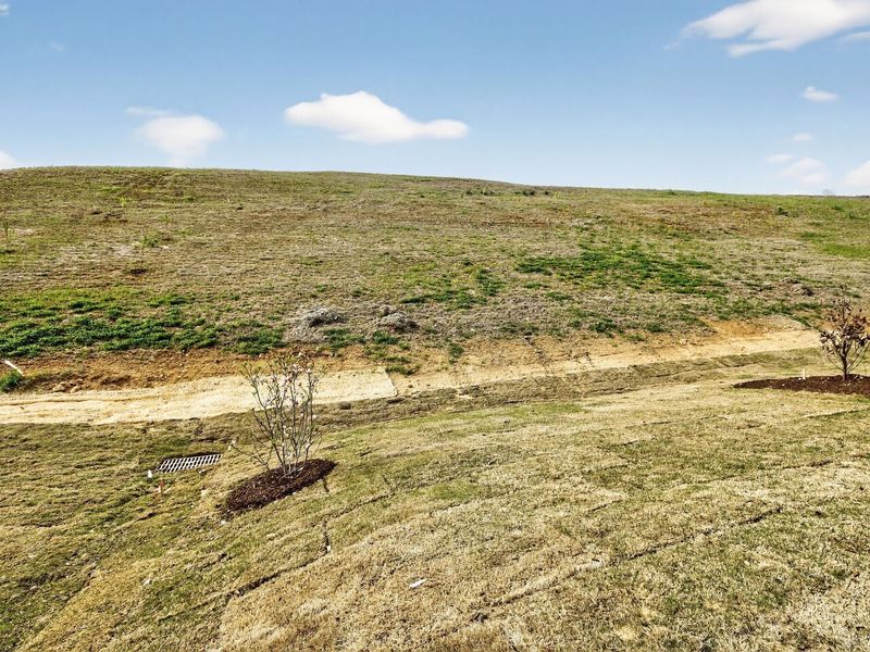 Natural landscape and outdoor views near Encore at Chatham Park – Villa Series in Pittsboro (Image 24).