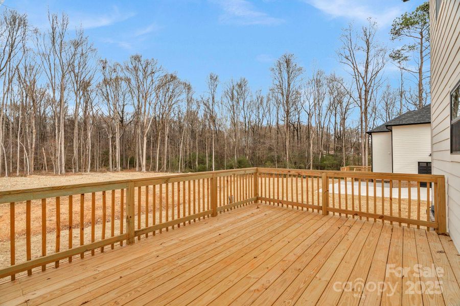 Exterior details and patio area of a home in , Waxhaw (Image 3).