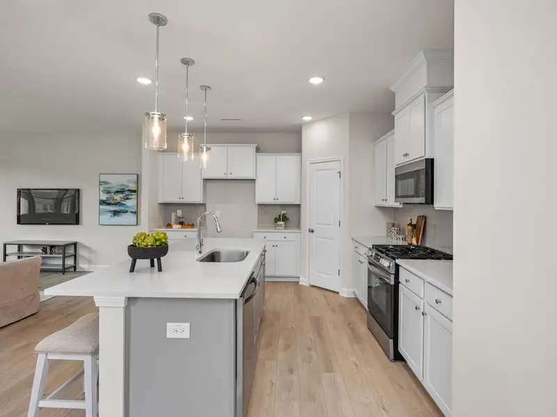 Furnished interior view inside a new home in Gregory Village, Lillington (Image 4).