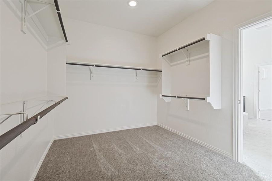 Walk in closet with light colored carpet