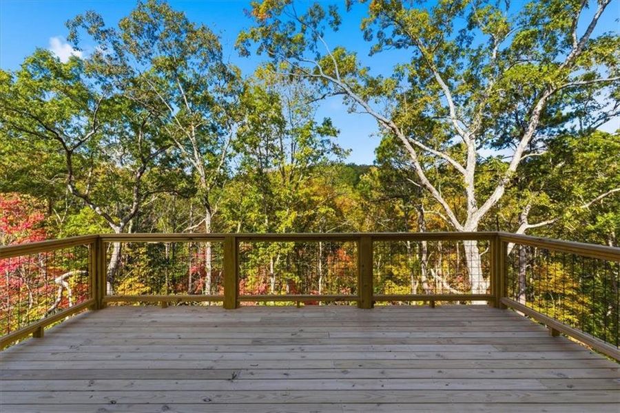 Natural landscape and outdoor views near  in Cartersville (Image 44).