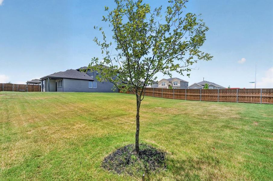 Natural landscape and outdoor views near Madero 50s in Fort Worth (Image 19). Natural landscape and outdoor views near Madero 50s in Fort Worth (Image 19).