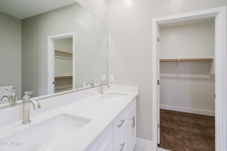 9893Sunbird-14 9893Sunbird-14