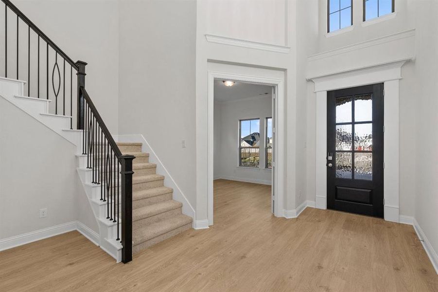 DAL_Painted Tree_Easton_3905 Menard Street (3)