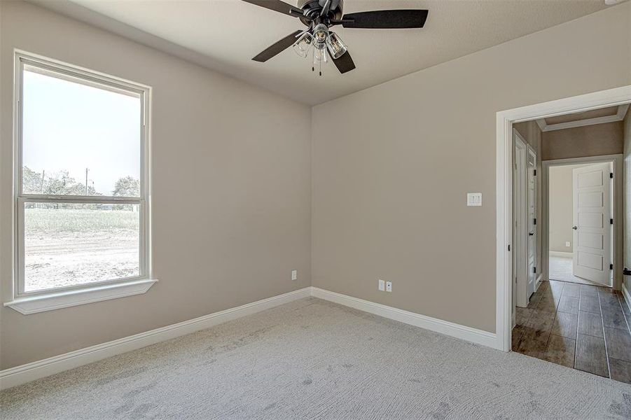 Empty room featuring a healthy amount of sunlight, ceiling fan, and carpet