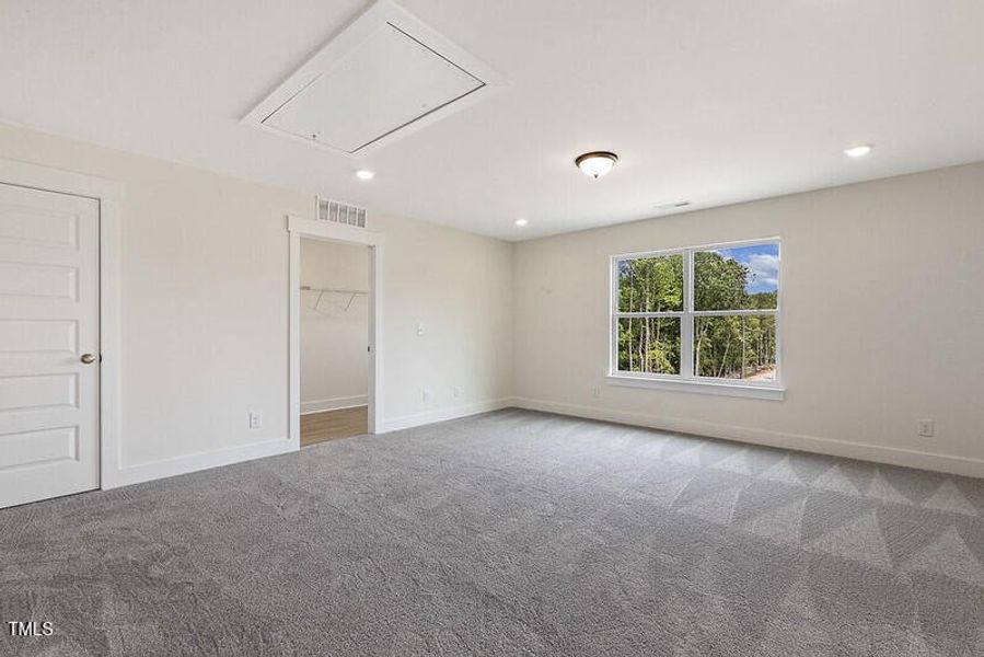 54562912852_3c8ee446af_c