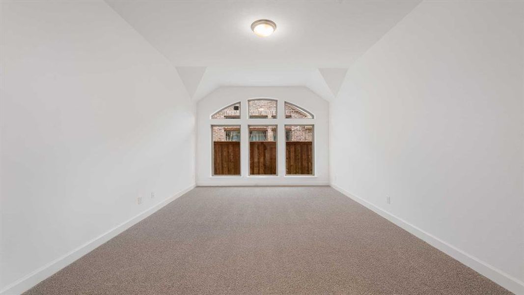 Additional living space with lofted ceiling and carpet