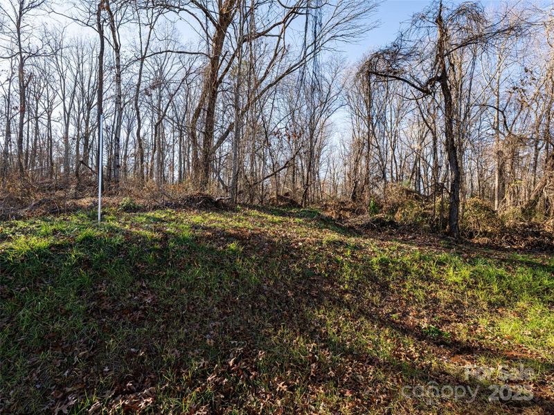 Natural landscape and outdoor views near  in Morganton (Image 29).
