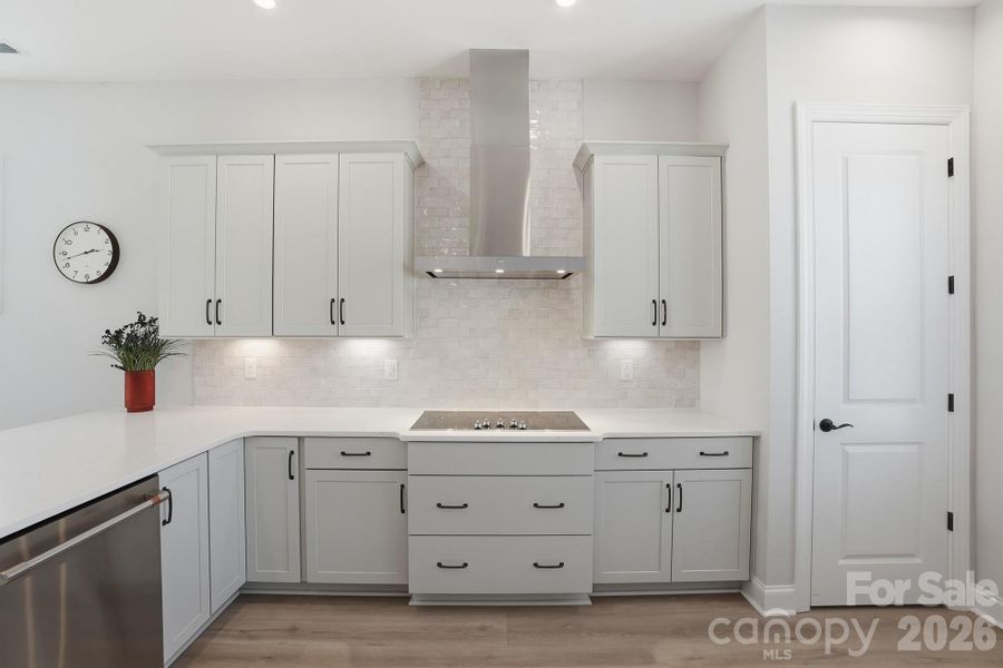Kitchen cabinets/stove/pantry/dishwasher