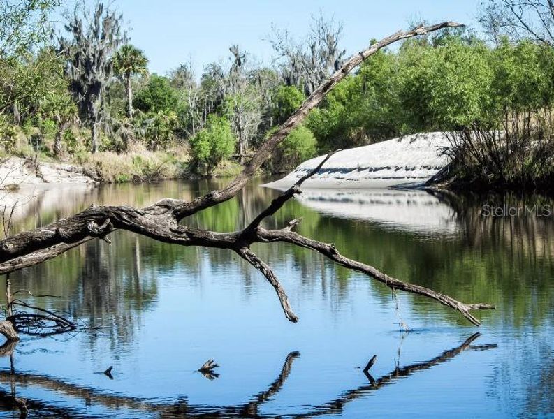 Site seeing along the Peace River Site seeing along the Peace River