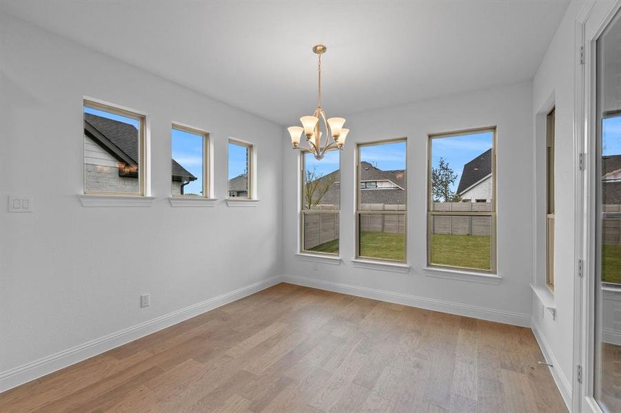 DAL_Painted Tree_Mineola_4020 Clingsman Way (5)