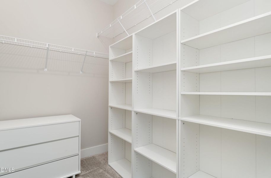 019_dsc01508-edit_479