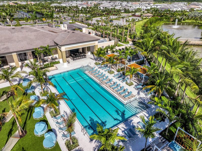 Lap Pool Lap Pool