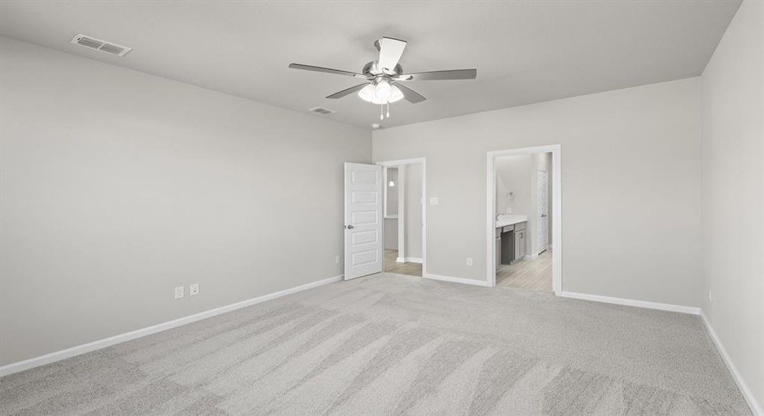 Cedar - Primary Representative Photo Cedar - Primary Representative Photo