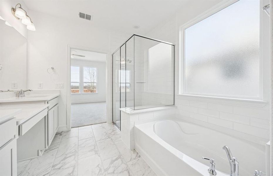 Owner's bath with separate tub and shower