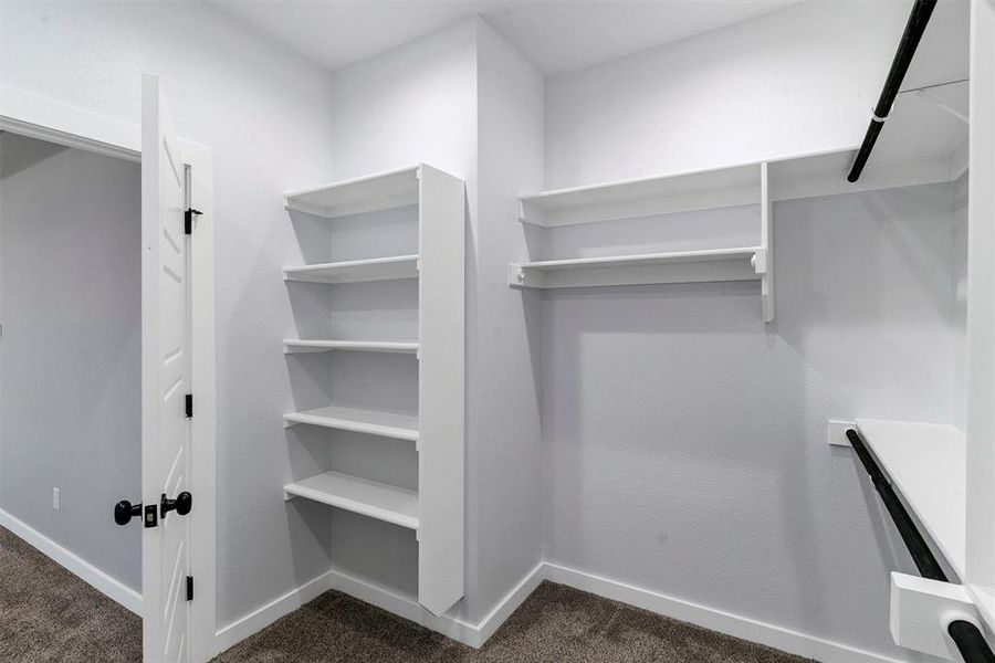 Spacious closet featuring dark carpet